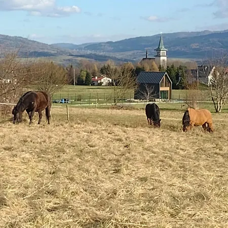 Lejlighed Zacisze Na Polach