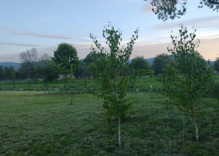 Apartment Zacisze Na Polach *