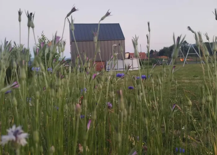 Zacisze Na Polach Apartment *